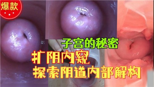 子宫深处秘密：扩阴内窥激情窥探阴道内部结构