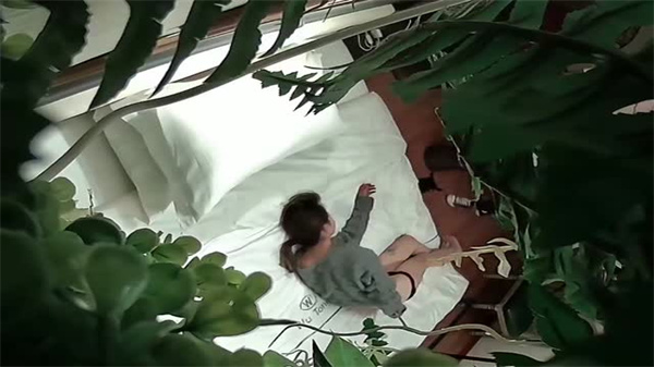 偷拍视角 极品绿植房人妻被爆操 高清无码内射实录