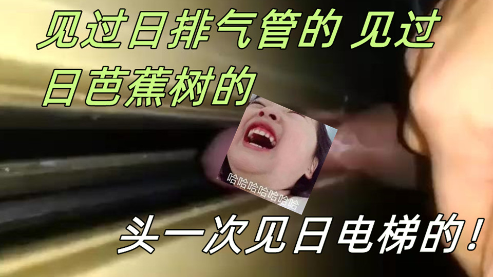 见过日排气管的，见过日芭蕉树的，头一次见日电梯的！